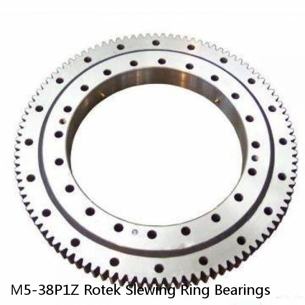 M5-38P1Z Rotek Slewing Ring Bearings