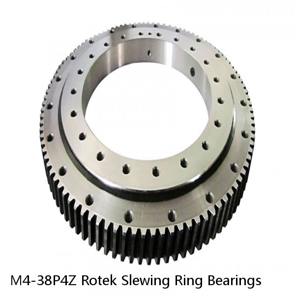 M4-38P4Z Rotek Slewing Ring Bearings