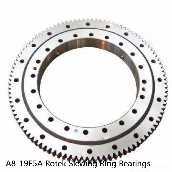 A8-19E5A Rotek Slewing Ring Bearings