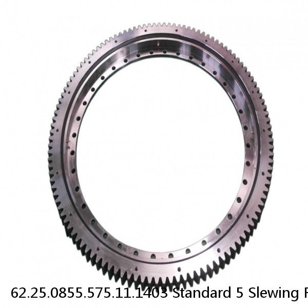 62.25.0855.575.11.1403 Standard 5 Slewing Ring Bearings