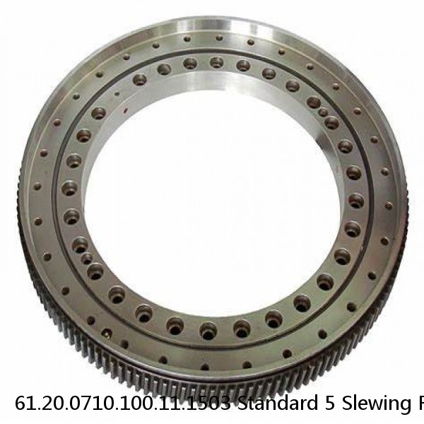 61.20.0710.100.11.1503 Standard 5 Slewing Ring Bearings