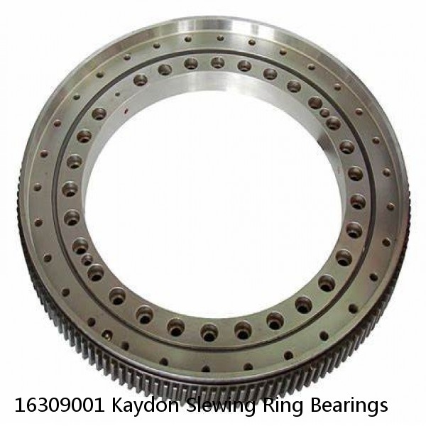 16309001 Kaydon Slewing Ring Bearings