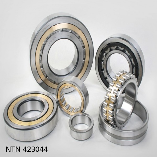 423044 NTN Cylindrical Roller Bearing