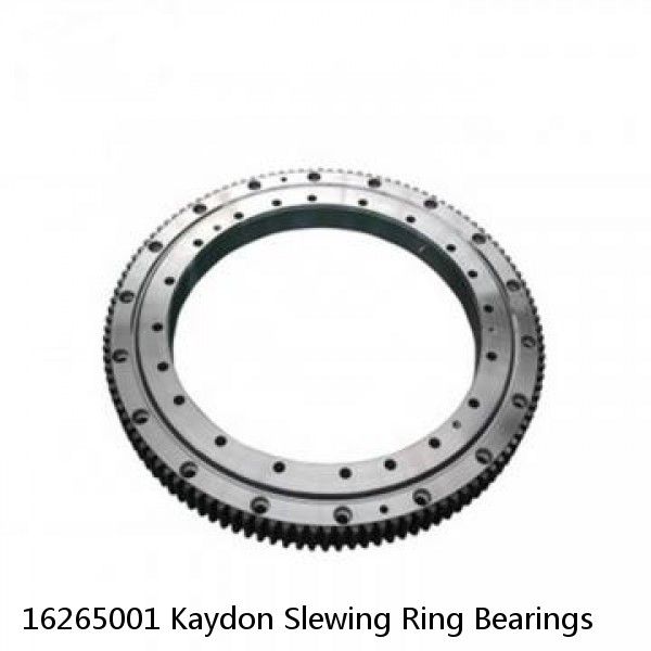 16265001 Kaydon Slewing Ring Bearings