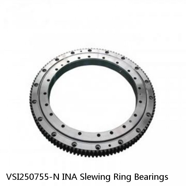 VSI250755-N INA Slewing Ring Bearings