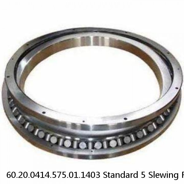 60.20.0414.575.01.1403 Standard 5 Slewing Ring Bearings