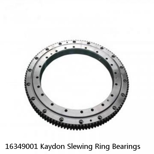 16349001 Kaydon Slewing Ring Bearings