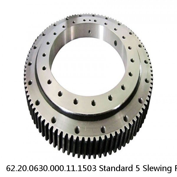 62.20.0630.000.11.1503 Standard 5 Slewing Ring Bearings