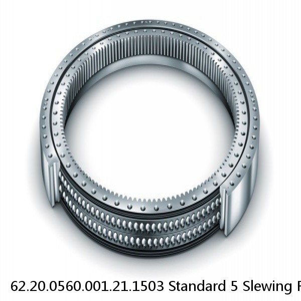 62.20.0560.001.21.1503 Standard 5 Slewing Ring Bearings