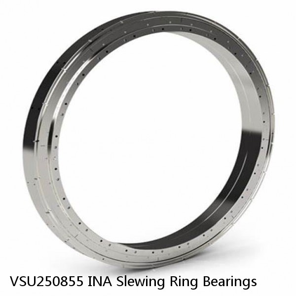 VSU250855 INA Slewing Ring Bearings