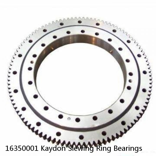 16350001 Kaydon Slewing Ring Bearings