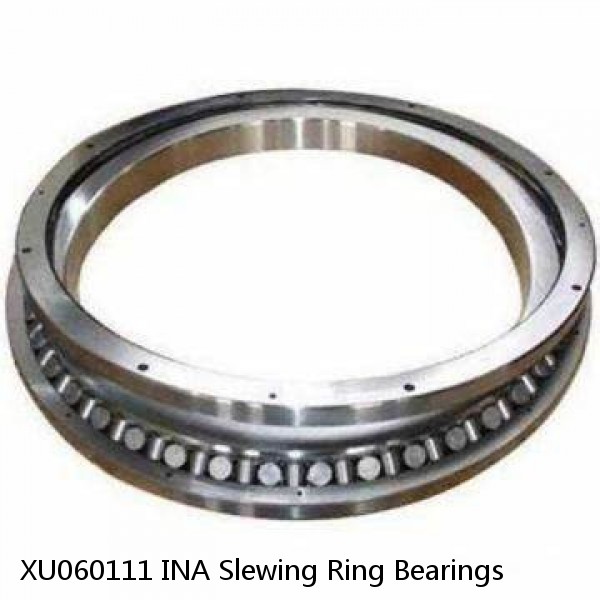 XU060111 INA Slewing Ring Bearings