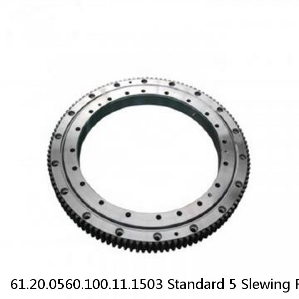 61.20.0560.100.11.1503 Standard 5 Slewing Ring Bearings