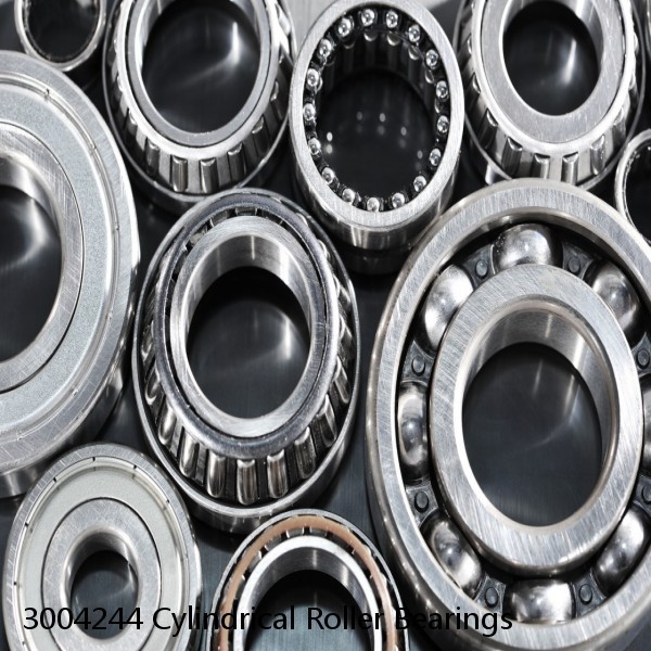 3004244 Cylindrical Roller Bearings