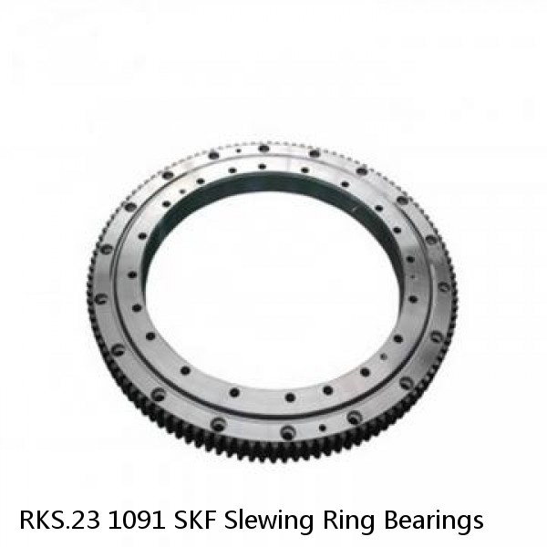 RKS.23 1091 SKF Slewing Ring Bearings