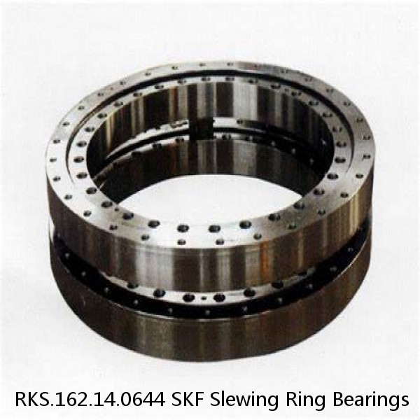 RKS.162.14.0644 SKF Slewing Ring Bearings