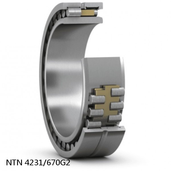 4231/670G2 NTN Cylindrical Roller Bearing