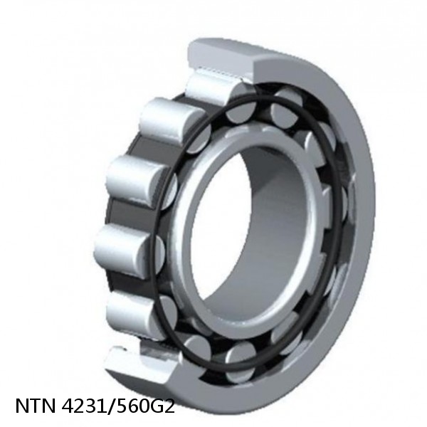 4231/560G2 NTN Cylindrical Roller Bearing