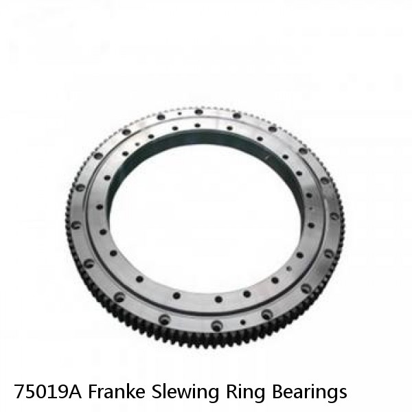 75019A Franke Slewing Ring Bearings