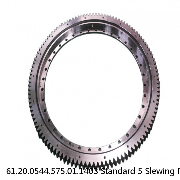 61.20.0544.575.01.1403 Standard 5 Slewing Ring Bearings