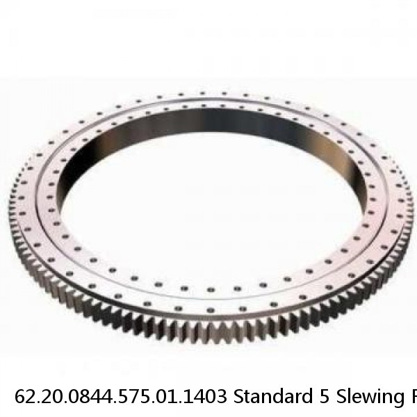 62.20.0844.575.01.1403 Standard 5 Slewing Ring Bearings