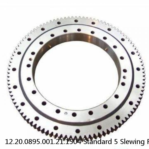 12.20.0895.001.21.1504 Standard 5 Slewing Ring Bearings