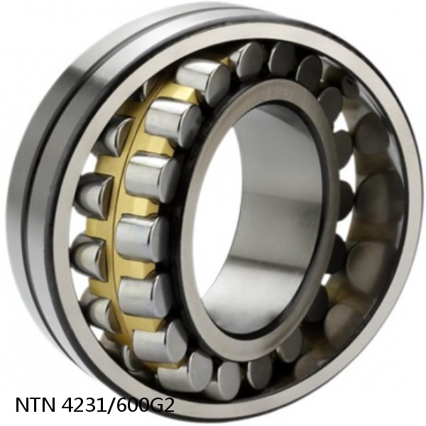 4231/600G2 NTN Cylindrical Roller Bearing